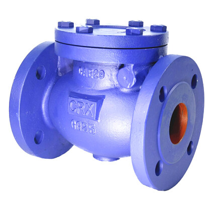 Swing Check Valve L10.1 CRX 117 616 PN16
